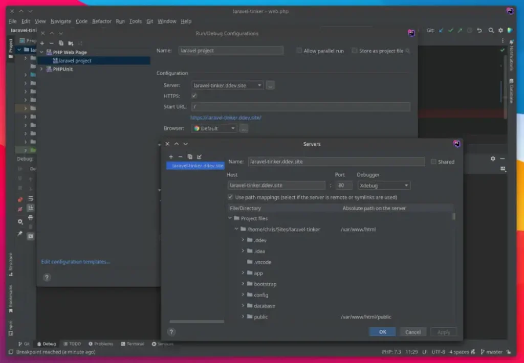 ddev xdebug config in phpstorm / docker xdebug config.