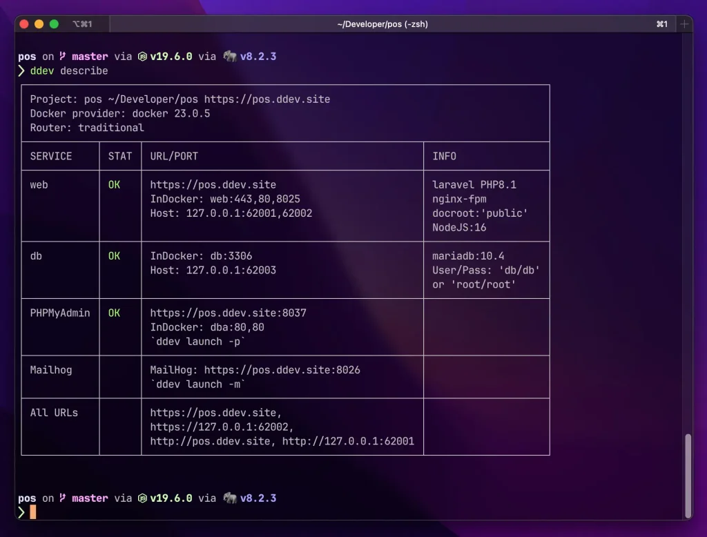 ddev describe with a Laravel Project.